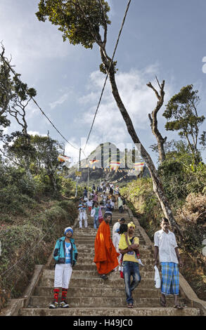 Le Sri Lanka, des gens, des escaliers, en ordre décroissant, Banque D'Images
