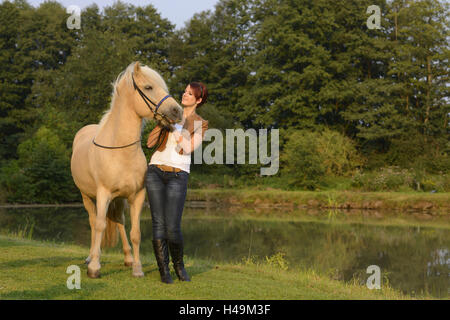 Cavalier, cheval, Islandais, meadow, stand, head-on, Banque D'Images