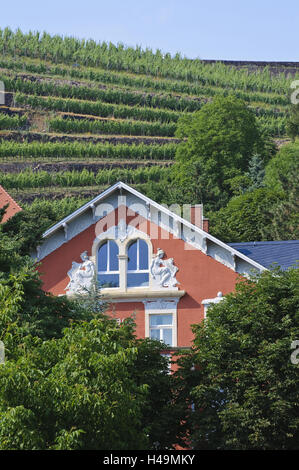 Villa, vignobles, Radebeul, Saxe, Allemagne, Banque D'Images