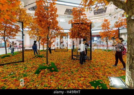 Shanghai, Shanghai, Chine. 13 Oct, 2016. Photo prise le 13 octobre 2016, à l'intérieur montre les forêts d'érable dans un centre commercial à Shanghai, Chine.Â Â®Jaune, maplesÂ¡¯ Â Â Â le blanc et®cloudsÂ¡¯ - peut être vu dans le centre commercial, la création de wonderland-comme décor de l'automne. Crédit : SIPA Asie/ZUMA/Alamy Fil Live News Banque D'Images