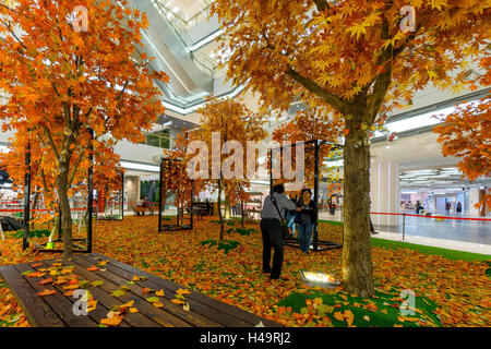 Shanghai, Shanghai, Chine. 13 Oct, 2016. Photo prise le 13 octobre 2016, à l'intérieur montre les forêts d'érable dans un centre commercial à Shanghai, Chine.Â Â®Jaune, maplesÂ¡¯ Â Â Â le blanc et®cloudsÂ¡¯ - peut être vu dans le centre commercial, la création de wonderland-comme décor de l'automne. Crédit : SIPA Asie/ZUMA/Alamy Fil Live News Banque D'Images