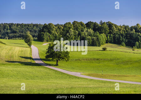 Germany, Bavaria, Upper Bavaria, Tölzer Land (region), Egling, district Harmating, highway at Harmating, Banque D'Images