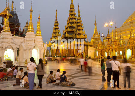 Le Myanmar, Rangoon, la pagode Shwedagon, également connu sous le nom de la Grande Pagode de Dagon, stupa, sanctuaire bouddhiste, soir, Banque D'Images