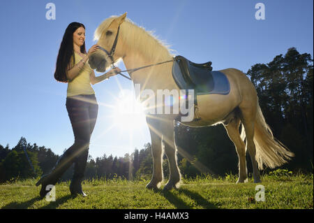 Jeune femme, cheval, cheval islandais, prairie, vue de côté, debout, paysage, Banque D'Images