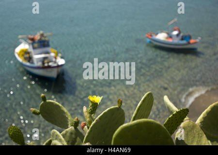 Grèce, Crete, Kato Zakros, bateaux de pêche et s'épanouit, Opuntien Banque D'Images