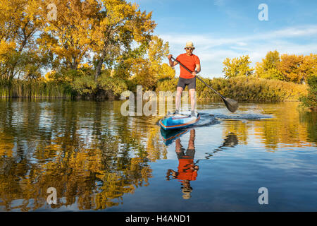 Senior male paddler bénéficie d'entraînement sur sa course stand up paddleboard en couleurs d'automne sur le lac au Colorado Banque D'Images