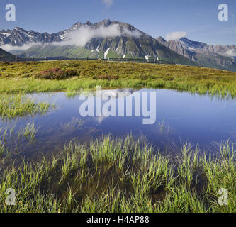 Vue de la vallée de l'Oberberg Pfitsch, Rotes Beil, alpenrose, Tyrol du Sud, Italie, Banque D'Images