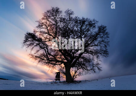 Germany, Bavaria, comté d'Augsbourg, Augsbourg Western Woods Nature Park, arbres, prairie, lumière, nuages, neige, hiver, deerstand, épiques, exposition longue durée, Décor Banque D'Images