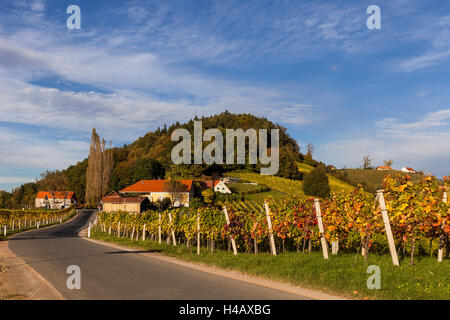 L'Europe, Autriche, Styrie, South-Styrian wine route, vignobles Banque D'Images