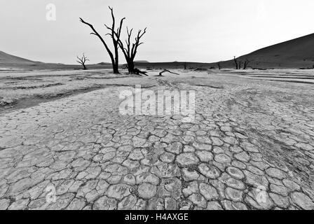 Doodvlei à Sossusvlei en Namibie - un lit de rivière à sec avec des arbres morts, la boue craquelée en noir et blanc qui donne un vrai sentiment de désolation Banque D'Images