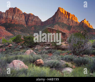 La Sentinelle, Zion National Park, Utah, USA Banque D'Images