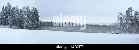 Paysage d'hiver, Haut-Palatinat, Bavaria, Germany, Europe Banque D'Images