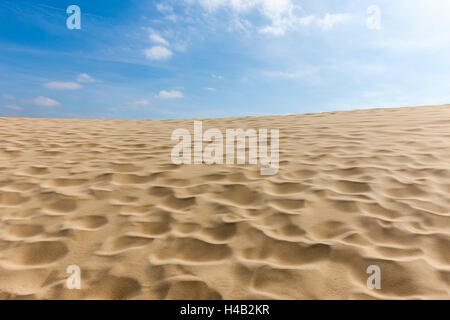 Drifting sand dune, Dune du Pilat, Aquitaine, France Banque D'Images