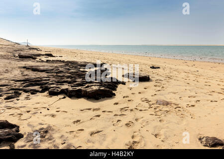 Drifting sand dune, Dune du Pilat, Aquitaine, France Banque D'Images