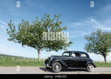 Vielbrunn, Hesse, Allemagne, Mercedes 170 type W191, DS, année de fabrication 1953 Banque D'Images