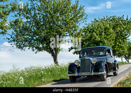 Vielbrunn, Hesse, Allemagne, Mercedes 170 type W191, DS, année de fabrication 1953 Banque D'Images