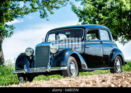 Vielbrunn, Hesse, Allemagne, Mercedes 170 type W191, DS, année de fabrication 1953 Banque D'Images