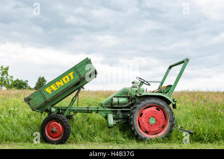 Michelstadt, Hessen, Allemagne, Fendt Dieselross F 220, GT, année de fabrication 1959, 19 HP, cylindrée 1810 cm3 Banque D'Images