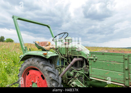 Michelstadt, Hessen, Allemagne, Fendt Dieselross F 220, GT, année de fabrication 1959, 19 HP, cylindrée 1810 cm3 Banque D'Images