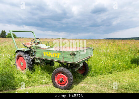 Michelstadt, Hessen, Allemagne, Fendt Dieselross F 220, GT, année de fabrication 1959, 19 HP, cylindrée 1810 cm3 Banque D'Images