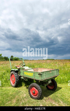 Michelstadt, Hessen, Allemagne, Fendt Dieselross F 220, GT, année de fabrication 1959, 19 HP, cylindrée 1810 cm3 Banque D'Images