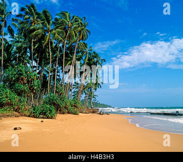 Palm Beach, plage de sable de rêve, de l'Océan indien, restent à découvrir, paradis de vacances Banque D'Images