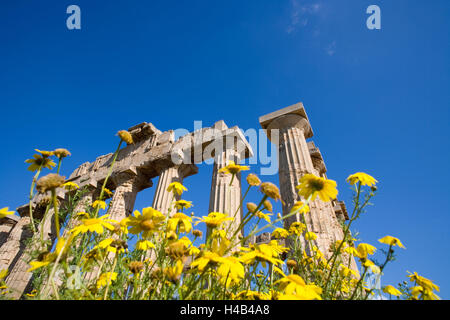 Italie, Sicile, Selinunt, acropole, temple de la ruine, Banque D'Images