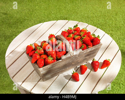 Les fraises dans le panier sur la table de jardin, Banque D'Images