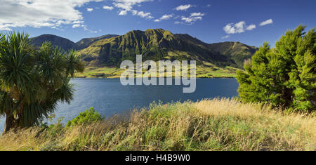 Pic Sentinel, le lac Hawea, Otago, île du Sud, Nouvelle-Zélande Banque D'Images