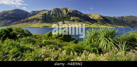 Pic Sentinel, le lac Hawea, Otago, île du Sud, Nouvelle-Zélande Banque D'Images