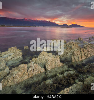 Des formations rocheuses, les montagnes de la péninsule de Kaikoura, Manakau, Canterbury, île du Sud, Nouvelle-Zélande Banque D'Images