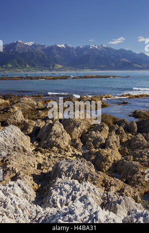 Des formations rocheuses, les montagnes de la péninsule de Kaikoura, Manakau, Canterbury, île du Sud, Nouvelle-Zélande Banque D'Images