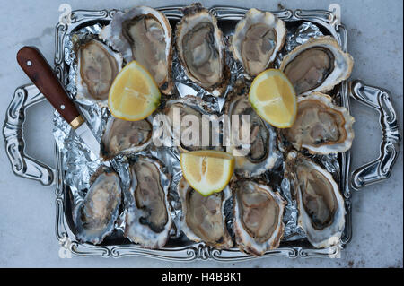 Des huîtres (Ostreidae) avec du citron et un couteau à huîtres sur un bac, Vandée, côte Atlantique, France Banque D'Images