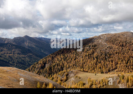 Dans le parc national des Montagnes de Nock, Autriche Banque D'Images