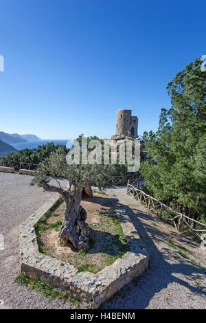 Ancienne tour Torre del Verger près de l'île de Majorque, Banyalbufar, Banque D'Images