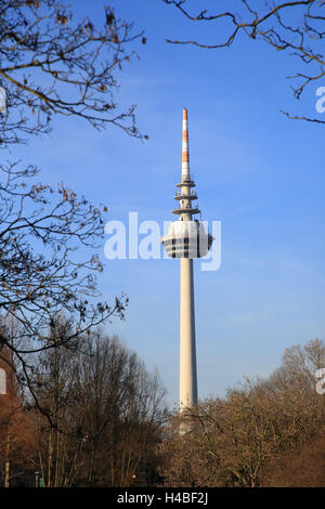 Luisenpark avec tour de transmission de Mannheim en hiver Banque D'Images