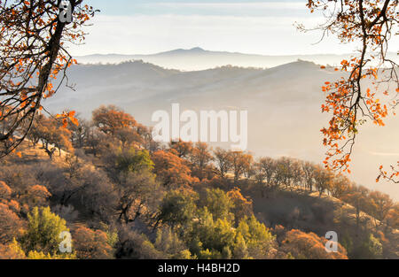 Le nord de la Californie Automne montagnes brumeuses Banque D'Images