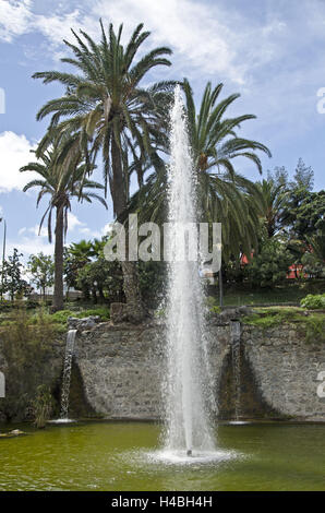 L'Espagne, l'île des Canaries, Grande Canarie, grain, Palma Lecture 'Parque Doramas', jet d'eau, Banque D'Images