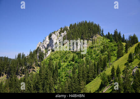 L'Allemagne, la Haute-Bavière, bunting's Valley, Ammergebirge, Banque D'Images