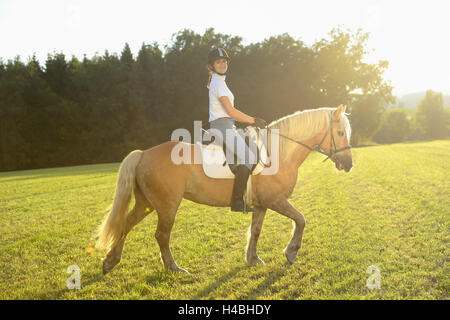 Adolescente, cheval, Haflinger, pré, équitation, side view, looking at camera, Banque D'Images