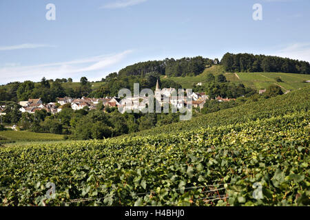 Europe, France, Bourgogne, Beaune, viticulture, Banque D'Images