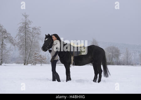 Adolescente, cheval, Arabo-Haflinger, plomb, sur le côté, Banque D'Images