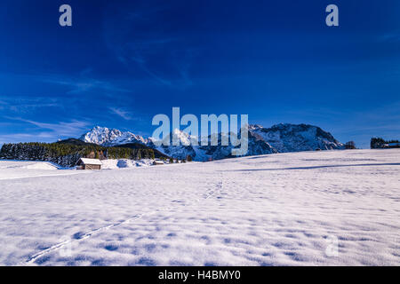 Allemagne, Berlin, Werdenfelser Land (région), du Karwendel Alpenwelt, Krün village, Buckelwiesen (hillside meadows) contre Karwendelgebirge Banque D'Images