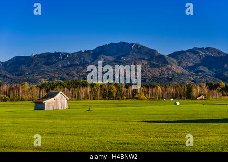Allemagne, Berlin, Pfaffenwinkel, Sindelsdorf, Loisach Kochelsee Moor contre préalpes avec Benediktenwand Banque D'Images