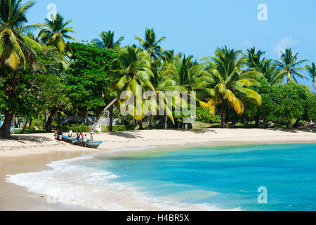 La péninsule de Samana, République dominicaine, Santa Barbara de Samana, la plage Playa Anadel environ 5 km à l'Est de Santa Barbara Banque D'Images