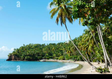 La péninsule de Samana, République dominicaine, Santa Barbara de Samana, la plage Playa Anadel environ 5 km à l'Est de Santa Barbara Banque D'Images