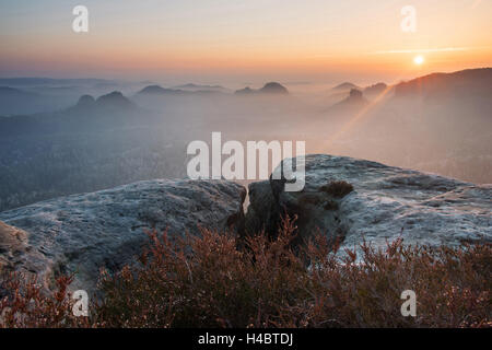 Le lever du soleil, Kleiner Winterberg, Zschand, brouillard, la Suisse Saxonne, de montagnes basses, Allemagne Banque D'Images