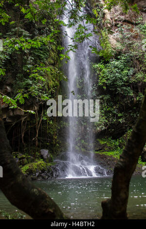 Seul, hidden cascade à Rincon de la Vieja Banque D'Images