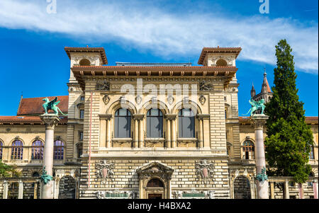 Le Palais de Rumine à Lausanne - Suisse Banque D'Images