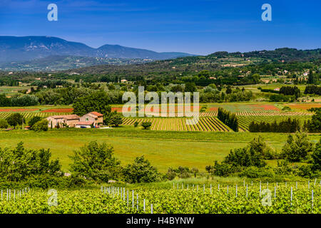 France, Provence, Vaucluse, Lacoste, Mas avec la vallée de Calavon et Monts de Vaucluse Banque D'Images